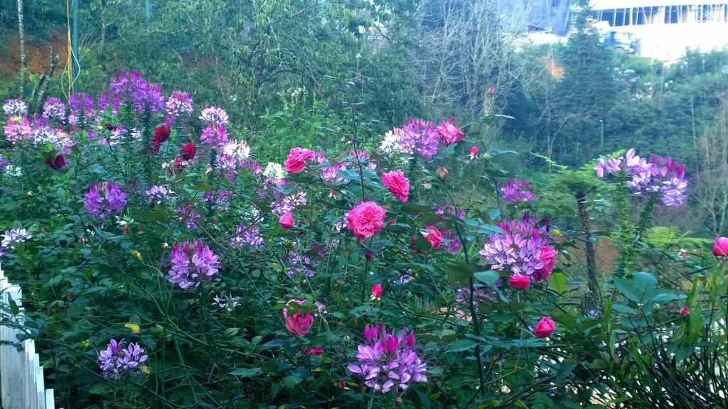 Sapa Garden Resort Ngoại thất bức ảnh